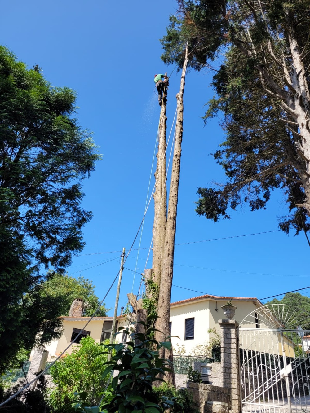 Home Verde