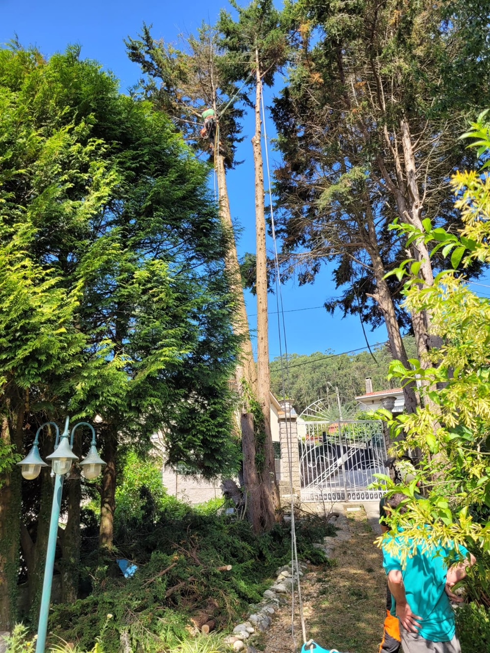 Home Verde