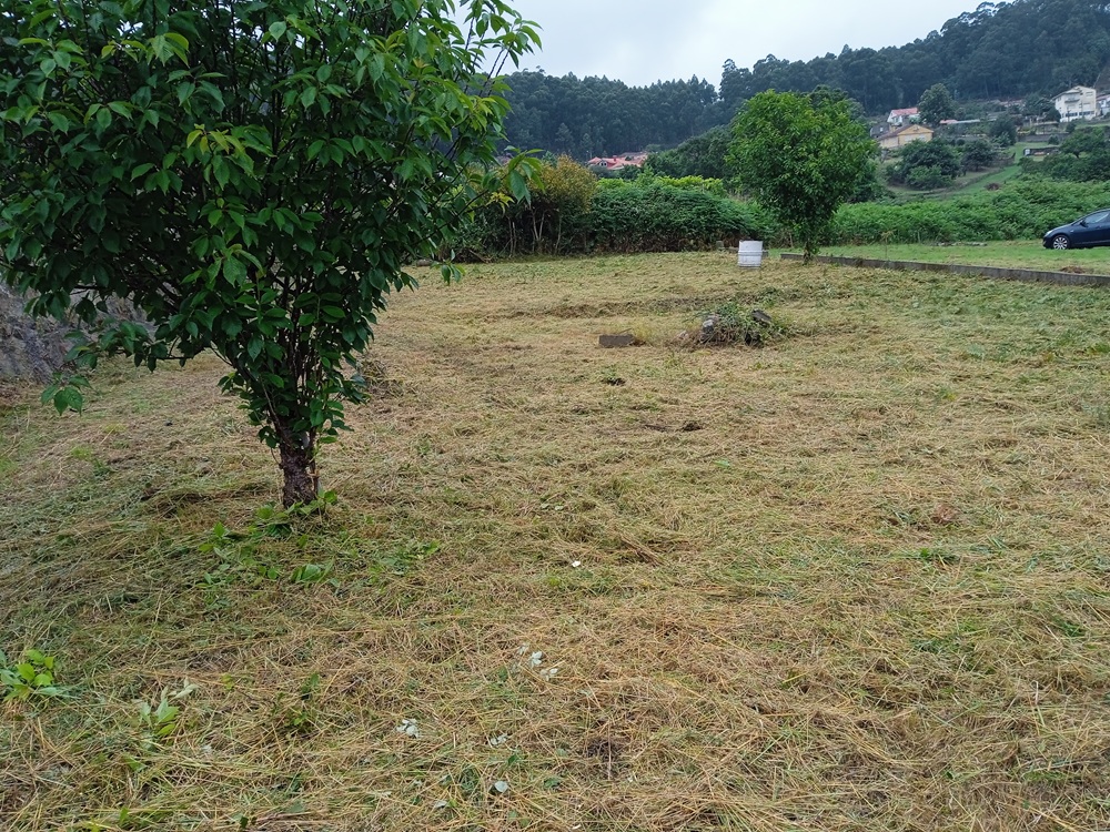 Home Verde