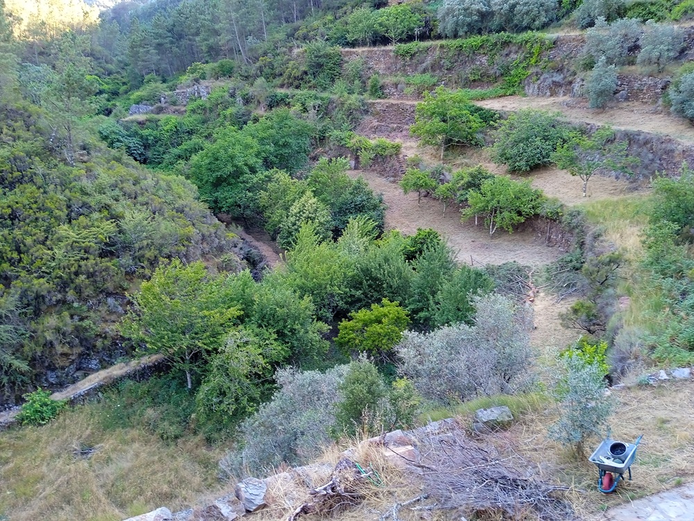 Home Verde